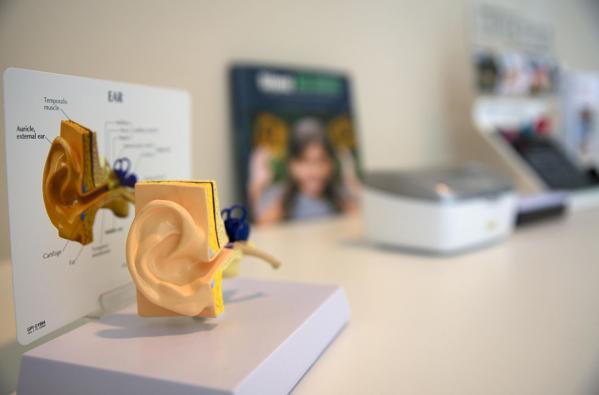 Model ear