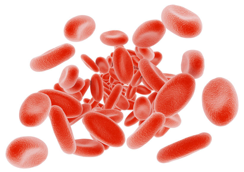 Red blood cells