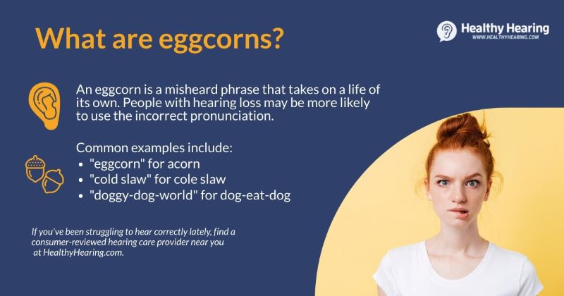 Infographic explaining eggcorns.