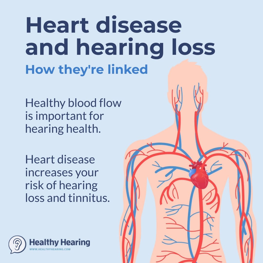 Infographic explaining the link between hearing disease and hearing loss
